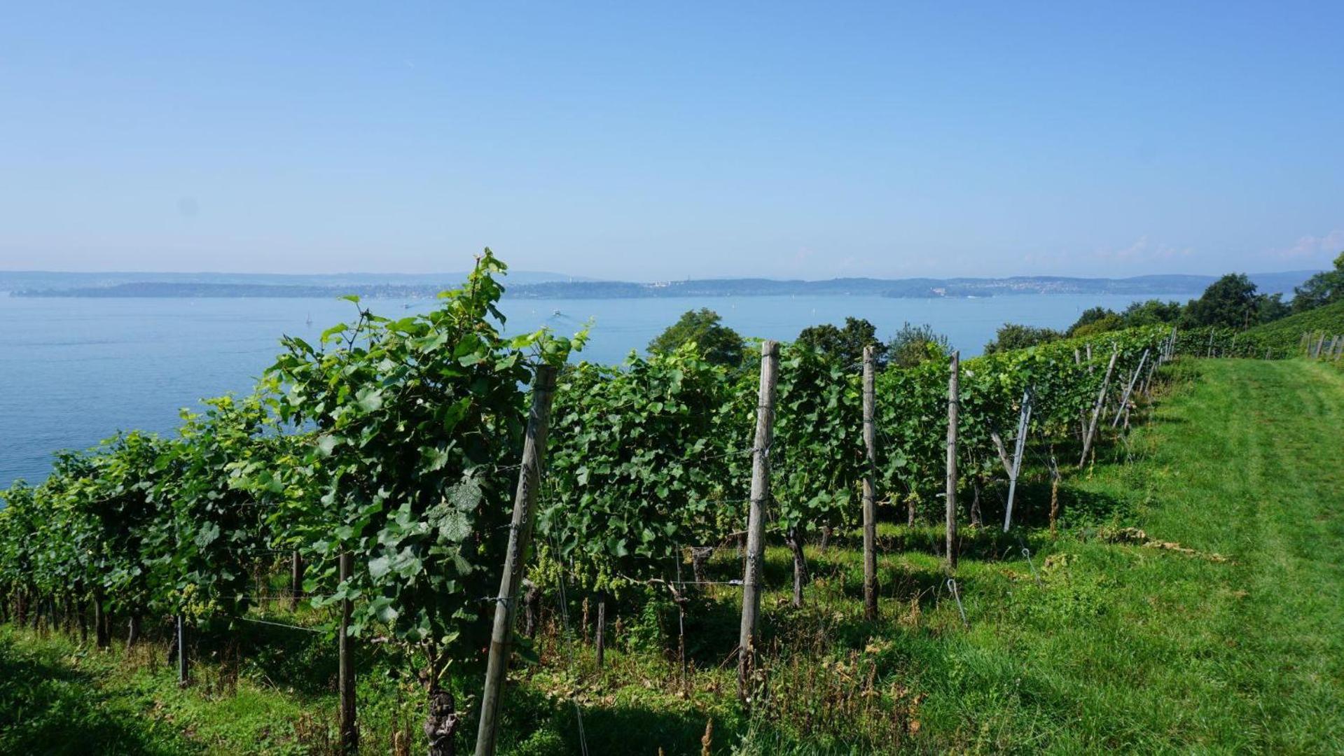 Ferienwohnung Weitsicht Meersburg Esterno foto